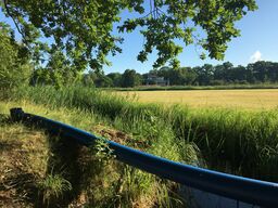 Abbau "Blaue Leitung" im Branitzer Park