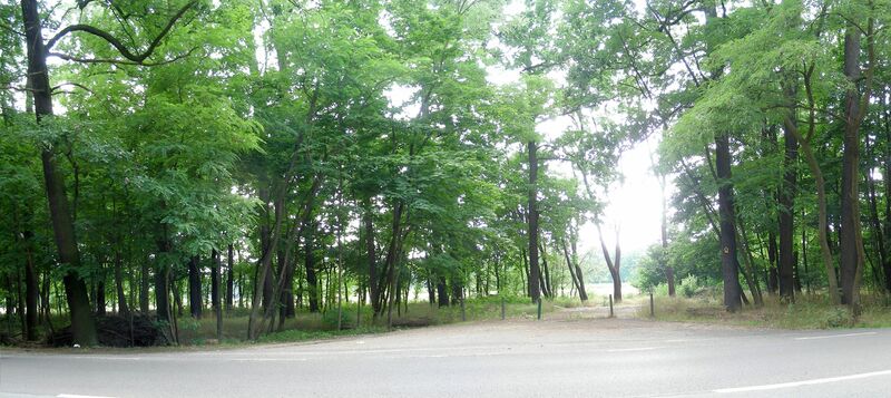 Blick von der Gustav-Herrmann-Str. in die Vorparkwiesen