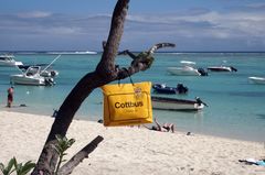 Auf Mauritius (Foto: Alexander Bertsch)