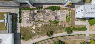 Zustand der Fläche im Juli 2023 