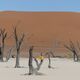 Dead Vlei in der Namib-Wüste © Joachim Seibt Dead Vlei in der Namib-Wüste