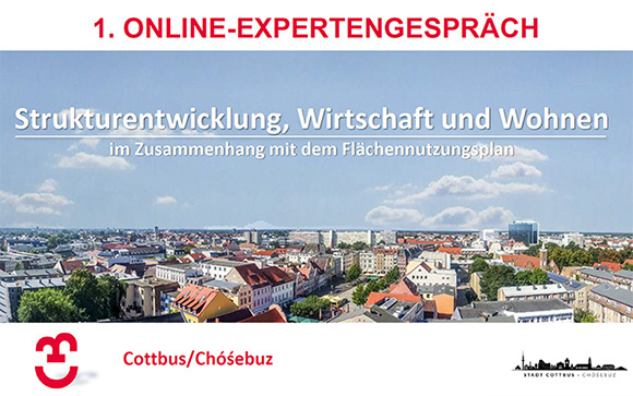 1. Online-Expertengespräch