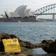Oper und Harbour Bridge in Sydney, Australien