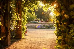 Pergola am Schloss Branitz im Abendlicht