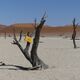 Dead Vlei in der Namib-Wüste © Joachim Seibt Dead Vlei in der Namib-Wüste