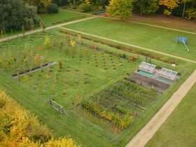Historische Branitzer Baumuniversität © Christoph Haaase, Stiftung Fürst-Pückler-Museum Park und Schloss Branitz Historische Branitzer Baumuniversität