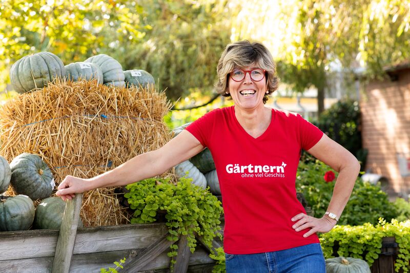  - &copy; CMT-Administration