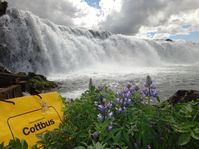 Wasserfall auf Island