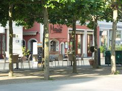 „Mosquito“ am Altmarkt