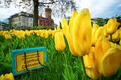 Beitrag zum Fotowettbewerb 2021/22