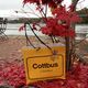 Cottbus im Herbst