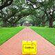 Die Eichenallee an der Zuckerrohrplantage Oak Alley Plantation in Vacherie bei New Orleans © Sylvia Wähling Die Eichenallee an der Zuckerrohrplantage Oak Alley Plantation in Vacherie bei New Orleans