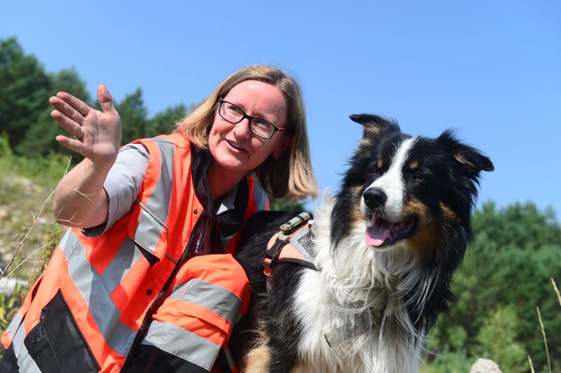  - &copy; CMT-Administration