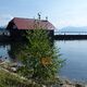Chiemsee (2) © Ute und Frank Geisler Chiemsee (2)