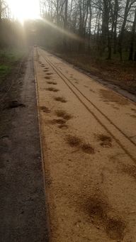 Wegschäden in der Englischen Allee
