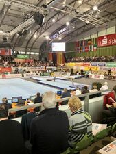 Turnier der Meister 2023 © Stadt Cottbus/Chóśebuz Turnier der Meister 2023