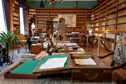 Bibliothek im Schloss Branitz © Andreas Franke Bibliothek im Schloss Branitz