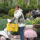 Keukenhof, Niederlande: Mit der Vespa durch die Blumenweld © Klaus-Peter Anders Keukenhof, Niederlande: Mit der Vespa durch die Blumenweld