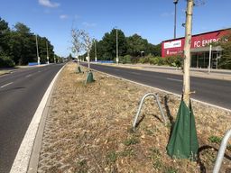 Wassersäcke zur Bewässerung der Bäume