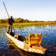 Bootsfahrt mit einem landestypischen Einbaum auf dem Chobe Fluss in Botswana © Torsten Arnold Bootsfahrt mit einem landestypischen Einbaum auf dem Chobe Fluss in Botswana
