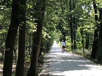Sanierter Radweg zwischen Englischer Allee und Nutzberg