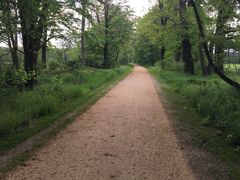 Radweg Englische Allee nach der Fertigstellung