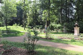 Neue Wege im Rehgarten