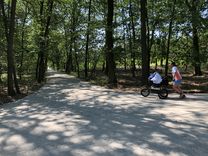 Sanierter Radweg zwischen Englischer Allee und Nutzberg