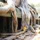 Tempel Ta Prohm in Siem Reap Kambodscha