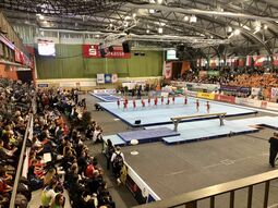 Turnier der Meister 2023 © Stadt Cottbus/Chóśebuz Turnier der Meister 2023