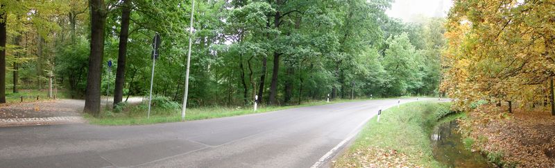 Symbolbild: Tierparkstraße