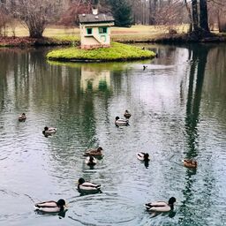 Schwarzer See mit Schwanenhäuschen