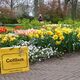 Keukenhof, Holland - Wieso steht die Tasche da? © Wilma van Aggelen Keukenhof, Holland - Wieso steht die Tasche da?