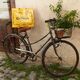 altes Fahrrad- entdeckt in Nardo, Süditalien © Familie Geisler altes Fahrrad- entdeckt in Nardo, Süditalien