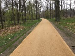Wegarbeiten in der Englischen Allee