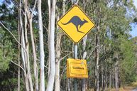 Preis in der Kategorie "Der am weitesten von Cottbus entfernte Ort": "Das gleiche Gelb", Brisbane, Australien (Autorin: Anja Markusch)