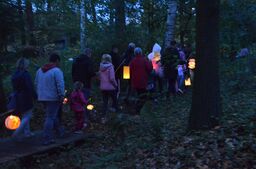 Lampionumzug im Tertiärwald