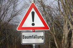 Baumfällung