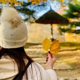 Rennbahnhügel mit Parasol